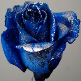 blue_silver_glitter_dyed_rose